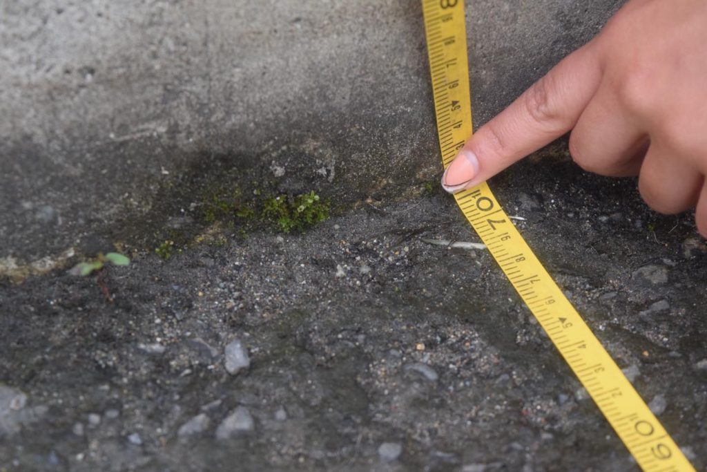 251439606_4325601340881703_3501071346670634508_n