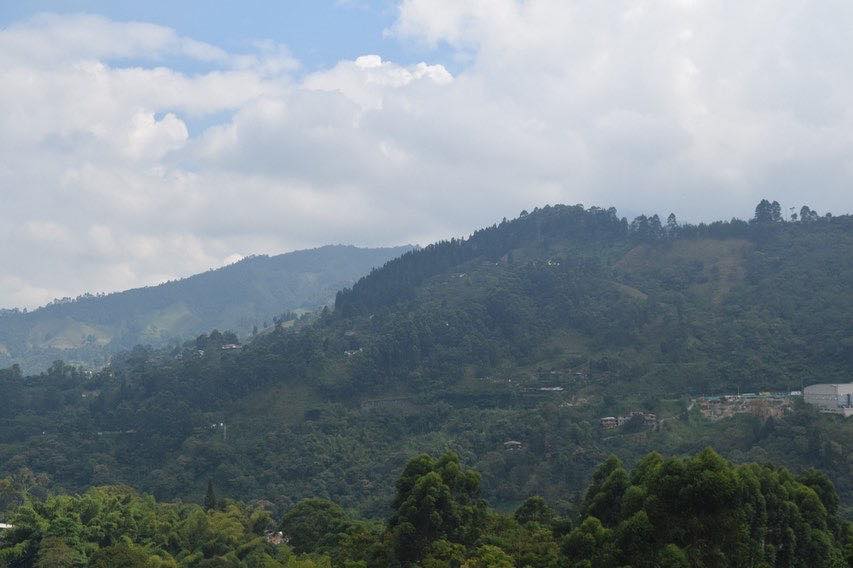 264889587_4423768291065007_1323548705248467012_n