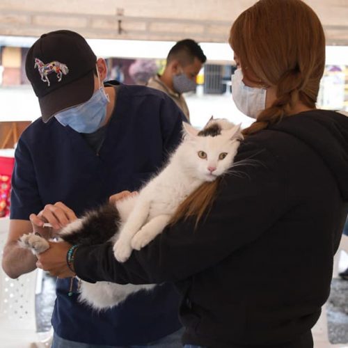 106931187_2936542343120950_7124385914926429790_n