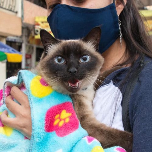 106981996_2936541993120985_561013584502439028_n