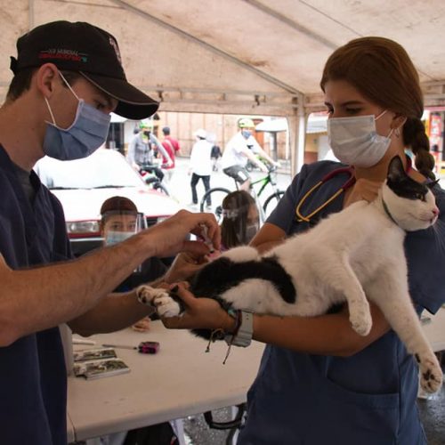 107089948_2936542283120956_8287578594375893636_n