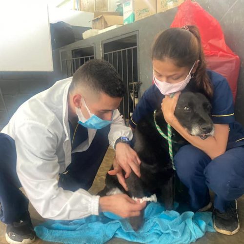 202524315_3904286769679831_5257848611270376702_n