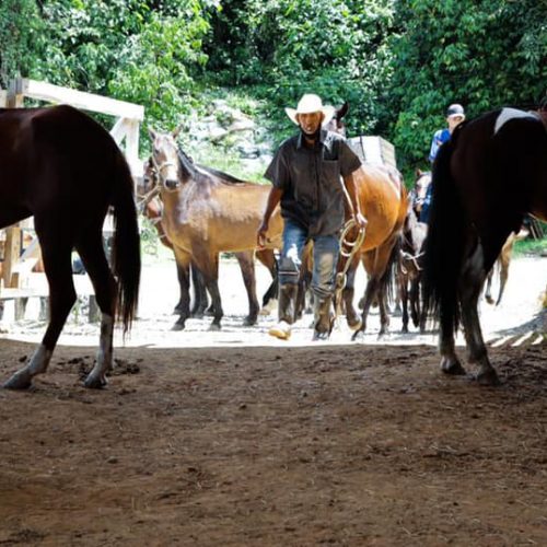 211018010_3936963539745487_6047259639888344610_n-1