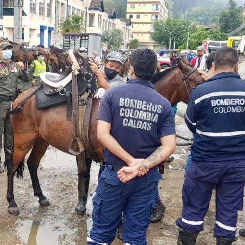 223774242_4005383099570197_481202002013085057_n