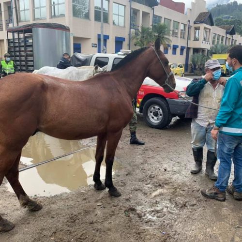 224290165_4005382866236887_9191619847579203698_n