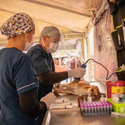 84018970_2917059505069234_8814437439209179770_n