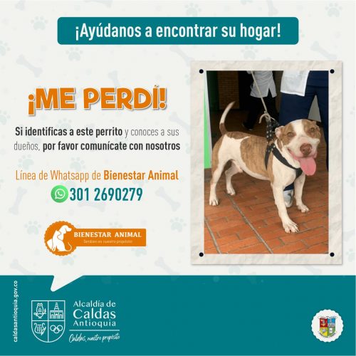 WhatsApp Image 2021-08-12 at 5.16.09 PM